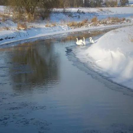 Chalet Romantisches Holzhaus