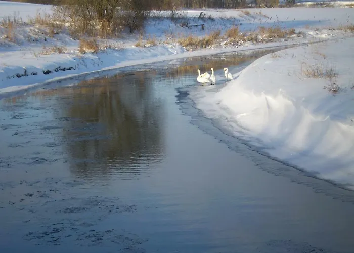 Chalet Romantisches Holzhaus